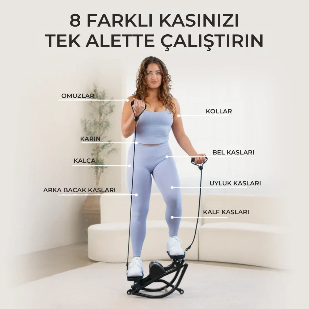 CardioTwist Stepper